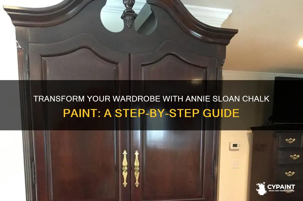 how to paint a wardrobe with annie sloan