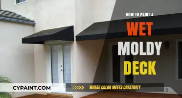 Revive Your Deck: Painting Over Wet Moldy Wood Safely