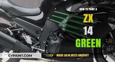 Mastering the Art of Painting Your ZX-14 a Vibrant Green