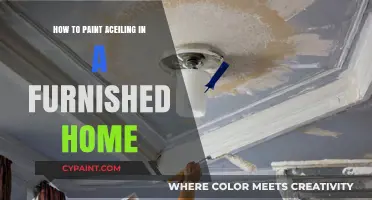 Painting Your Ceiling in a Furnished Home: Tips and Tricks