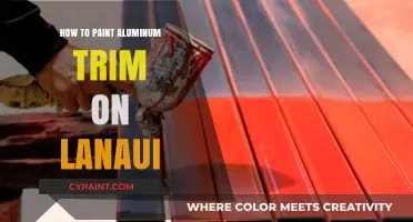 Painting Aluminum Trim on Lanai: A Step-by-Step DIY Guide