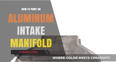Painting Aluminum Intake Manifolds: A Step-by-Step DIY Guide