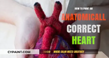 Mastering the Art of Painting an Anatomically Accurate Human Heart