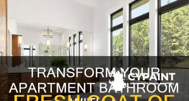 how to paint an apartment bathroom as a whole