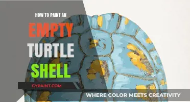 Creative Guide to Painting an Empty Turtle Shell for Unique Art