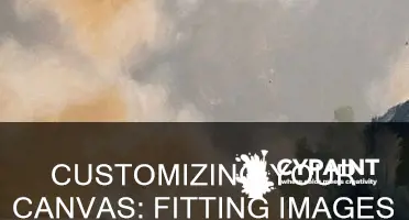 how to paint an image fit with panel size