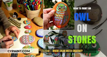 Creative Stone Art: Step-by-Step Guide to Painting Owls on Rocks