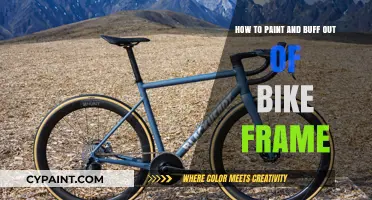 Master Bike Frame Painting and Buffing