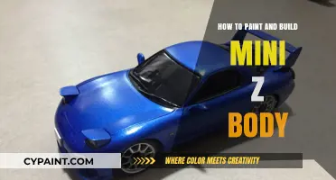 Mastering Mini Z Body Painting and Building Techniques for Beginners