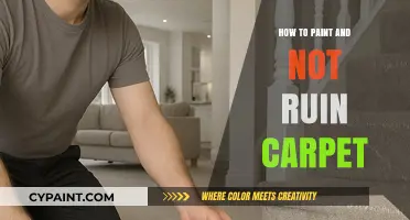 Painting Without Stains: Tips to Protect Your Carpet While Decorating