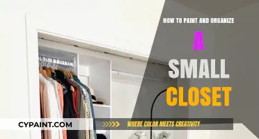 Maximize Space: Painting & Organizing Tips for Small Closets