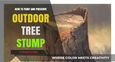 Creative Ways to Paint and Preserve Outdoor Tree Stumps for Longevity