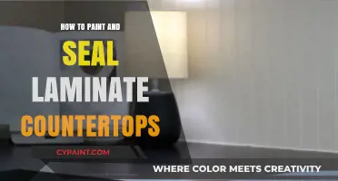 Revamp Your Kitchen: Painting and Sealing Laminate Countertops Made Easy