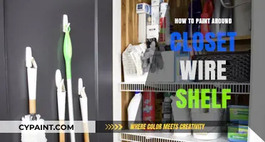 Mastering the Art of Painting Around Closet Wire Shelves