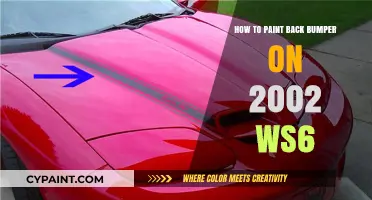 DIY Guide: Painting the Rear Bumper on a 2002 WS6