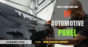 Mastering Automotive Panel Painting: Techniques for the Back Side