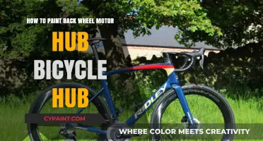 Painting Your Bicycle's Back Wheel Motor Hub: A Step-by-Step Guide
