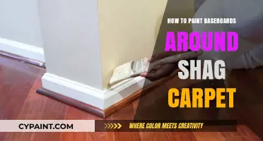 Painting Baseboards with Shag Carpet: Tips for a Clean Finish
