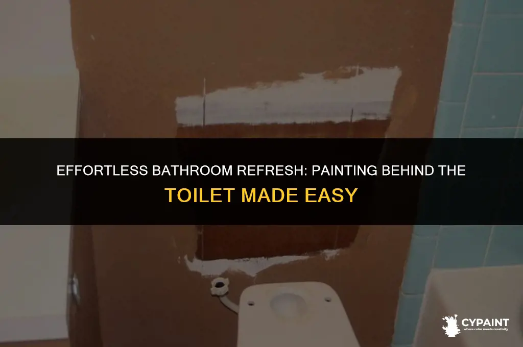 how to paint behind a toilet without taking it out