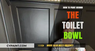 Mastering the Art of Painting Behind Your Toilet Bowl: Tips & Tricks