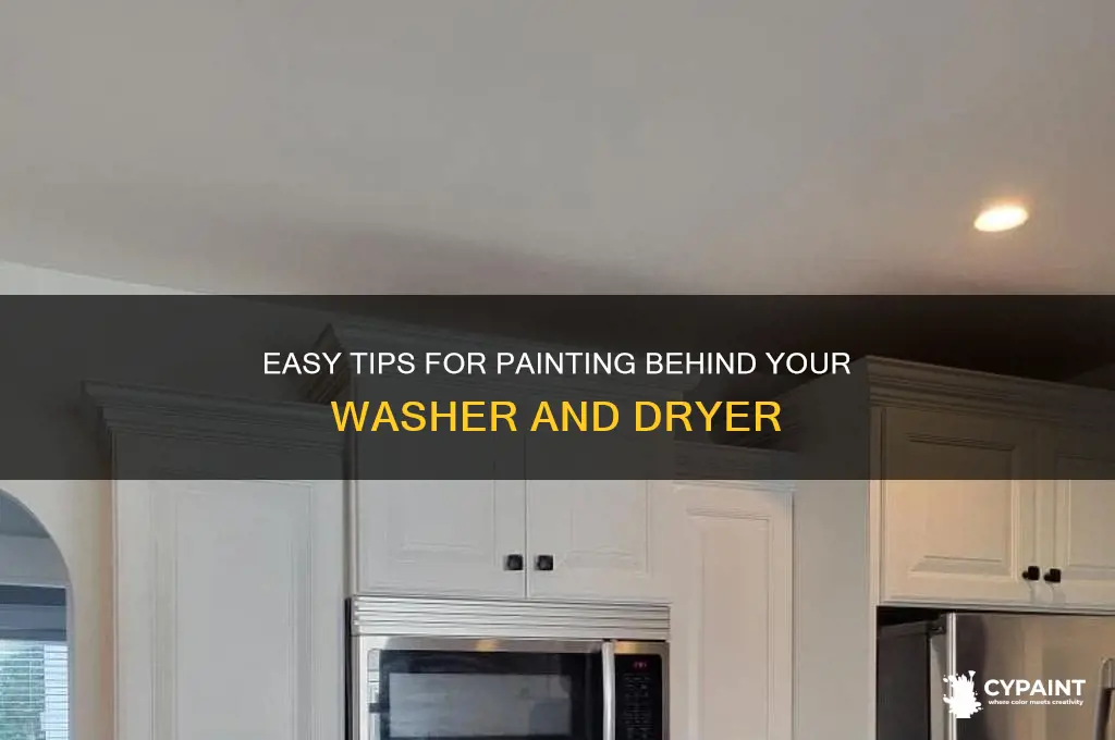 how to paint behind the washer and dryer
