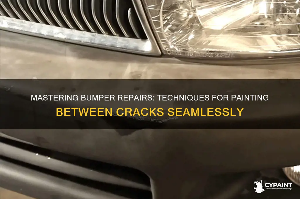 how to paint between crack in the bumper