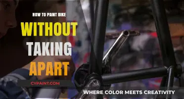 Easy Bike Painting: No Disassembly Required – DIY Guide