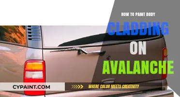Mastering Avalanche Body Cladding Paint: A Step-by-Step DIY Guide