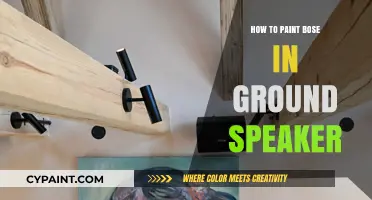 Mastering the Art of Painting Bose In-Ground Speakers: A Step-by-Step Guide