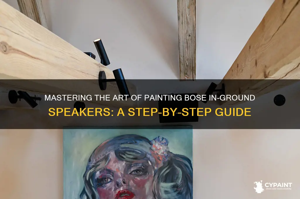 how to paint bose in ground speaker