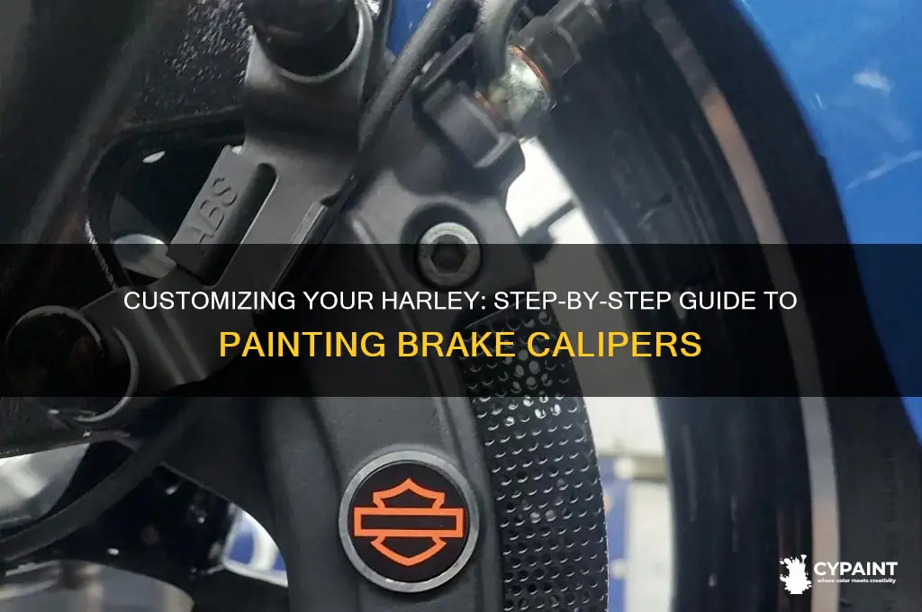 how to paint brake calipers harley davidson