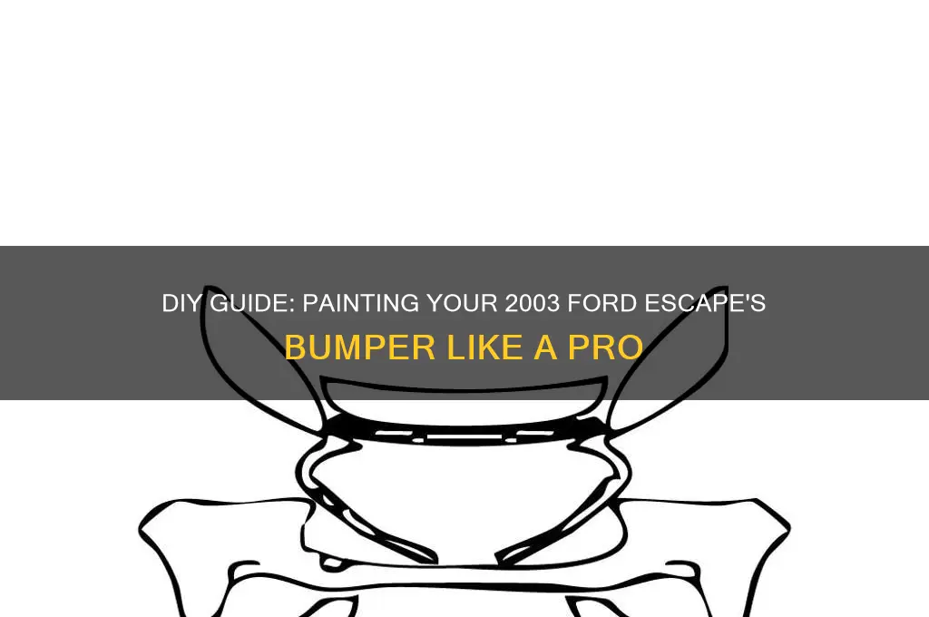 how to paint bumper on 2003 ford escape
