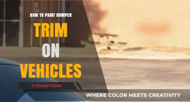 Mastering Bumper Trim Painting: A Step-by-Step Vehicle Detailing Guide