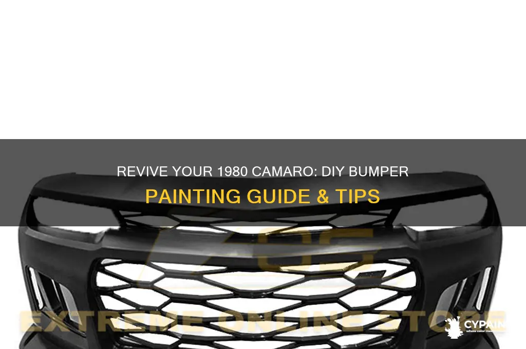 how to paint bumpers on a 1980 camero