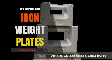 Revamp Your Gym Gear: Painting Cast Iron Weight Plates Step-by-Step