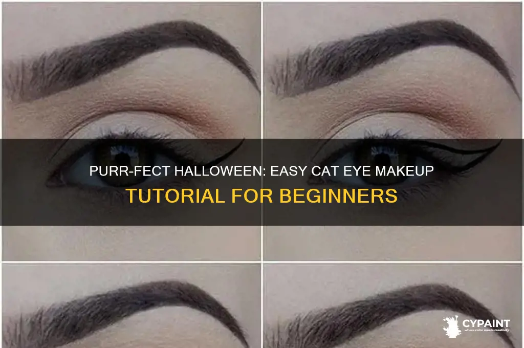 how to paint cat eyes for halloween