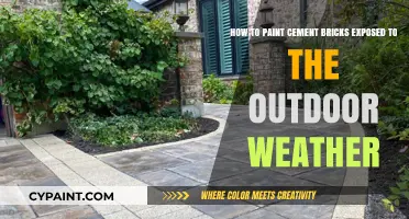 Reviving Weathered Cement Bricks: A Comprehensive Outdoor Painting Guide