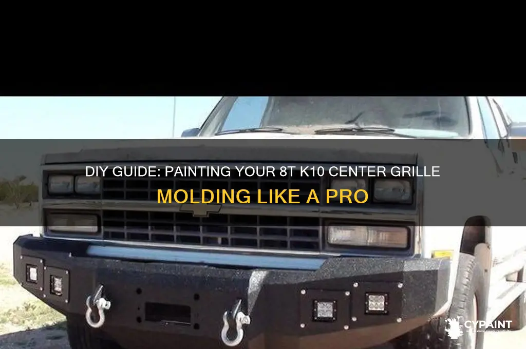 how to paint center grille molding 8t k10