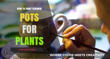 Creative Ceramic Pot Painting: Easy DIY Tips for Plant Lovers