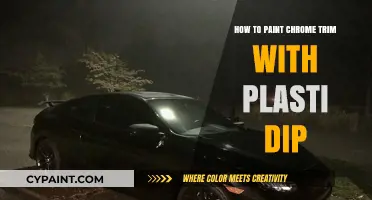 Easy Plasti Dip Chrome Trim Painting Guide for DIY Enthusiasts