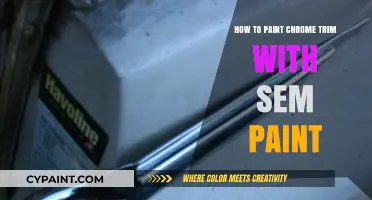 Mastering Chrome Trim Painting: A Step-by-Step Guide with SEM Paint
