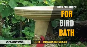 Creative Clay Pot Bird Bath Painting: Easy DIY Guide