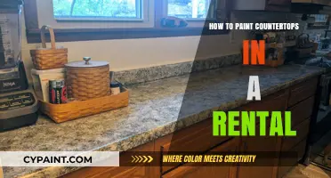 Revamp Your Rental: Easy Steps to Paint Countertops Like a Pro