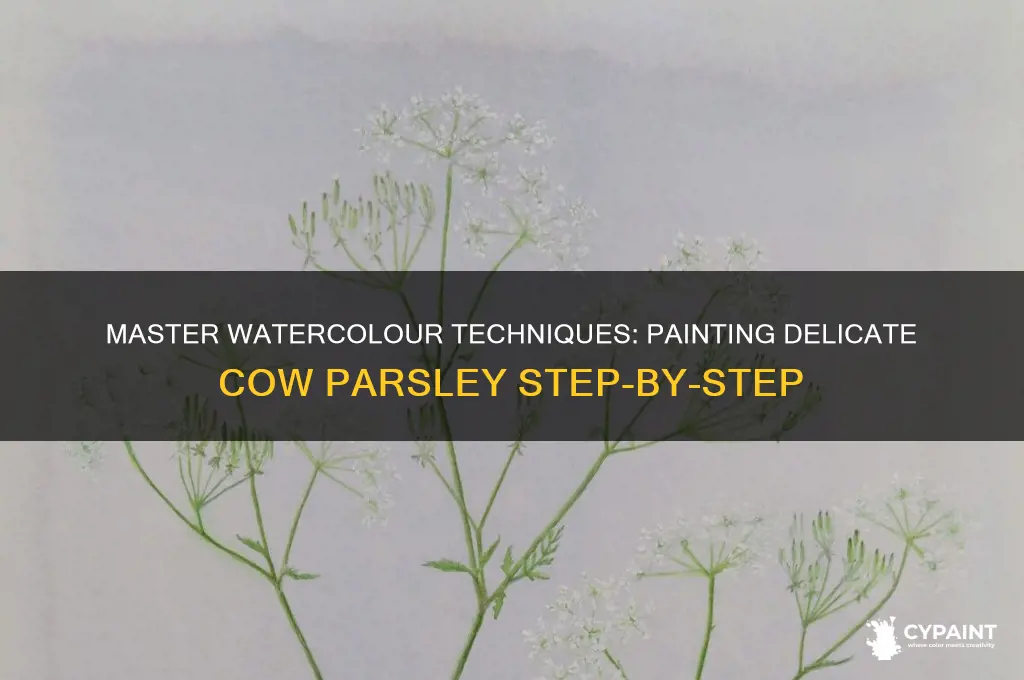 how to paint cow parsley in watercolour