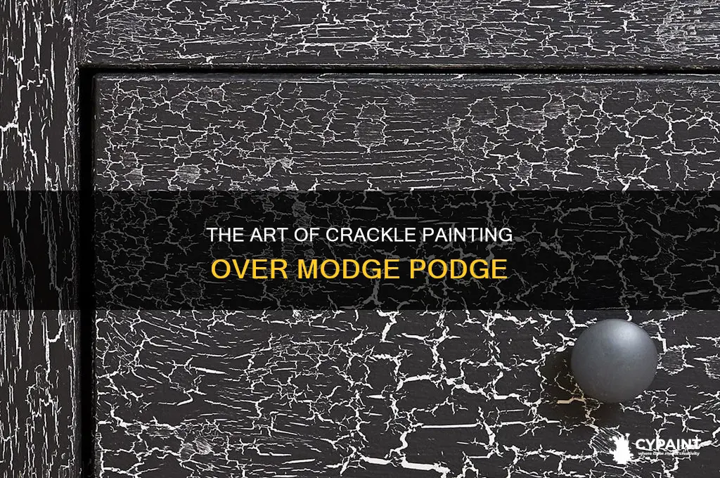 The Art Of Crackle Painting Over Modge Podge CyPaint