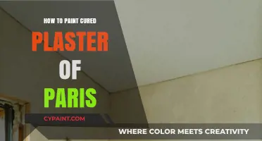Mastering the Art of Painting Cured Plaster of Paris: Tips & Techniques