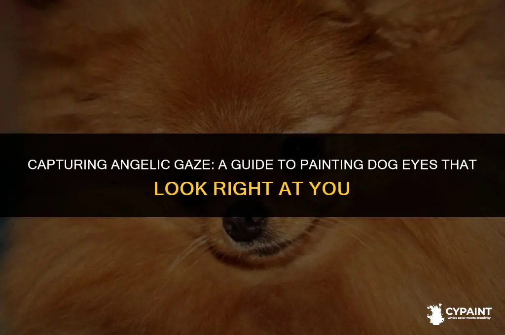 how to paint dog eyes looking at you from angel