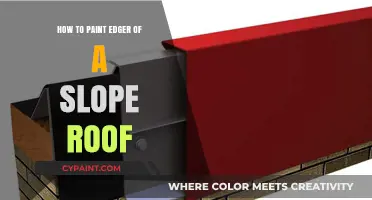 Mastering Slope Roof Edger Painting: Tips for a Flawless Finish