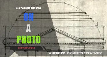 Mastering Elevation Painting: Transforming Photos with Depth and Dimension