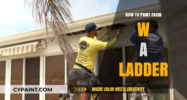 Painting Your Fascia Safely: A Step-by-Step Ladder Guide